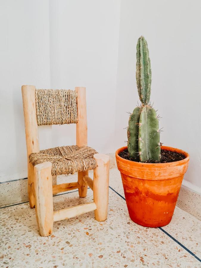 Tamraght Cactus Surf House旅舍 外观 照片